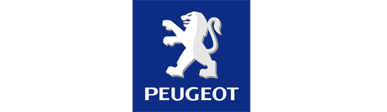 Peugeot Wiper Arm 404/ 504/ 505 Series